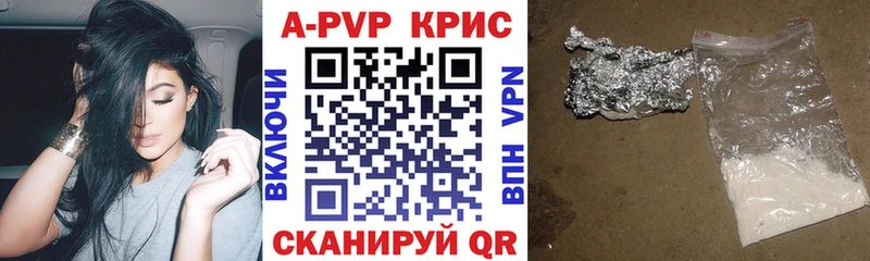 закладки  Гусев  A PVP СК 