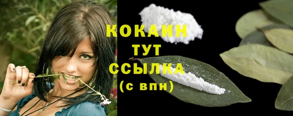 стаф Тавда