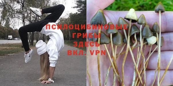 спиды Белоозёрский