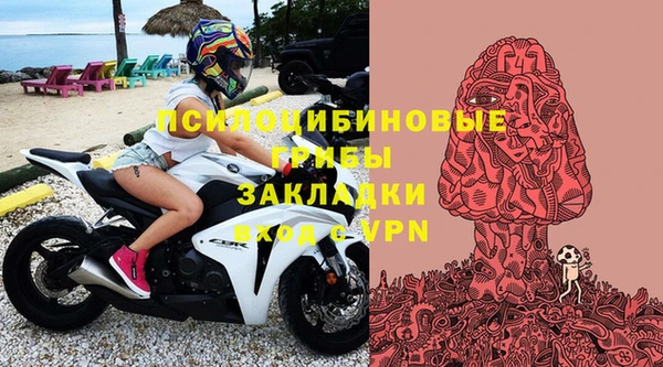 крисы Белокуриха